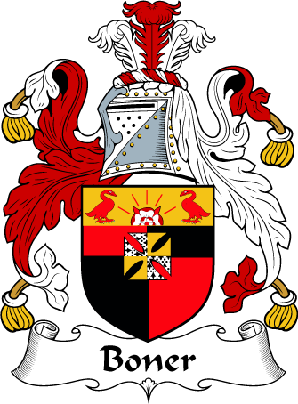 Donohoe Name Meaning, Family History, Family Crest & Coats of Arms